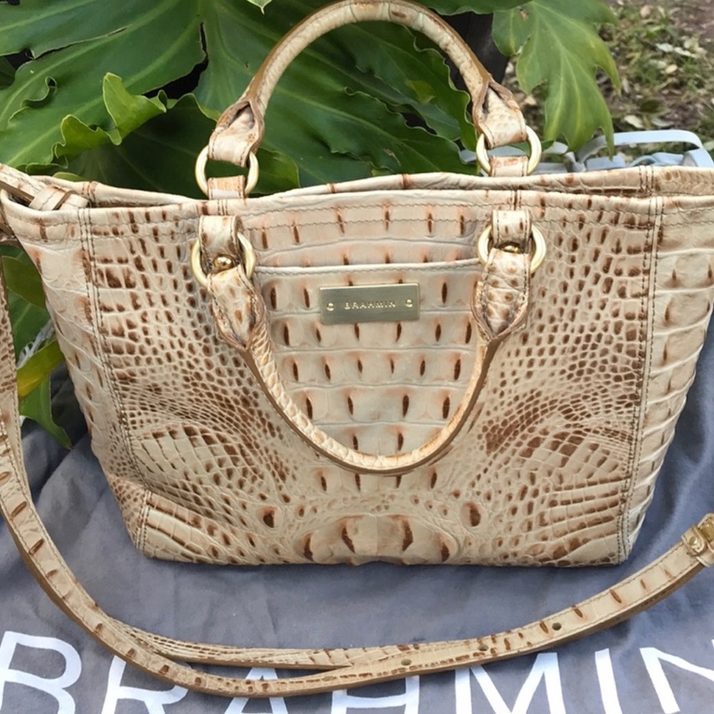 Brahmin Purse